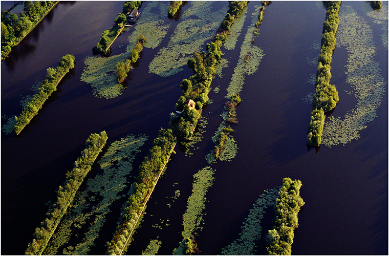 Scheendijk (Breukelen), summer