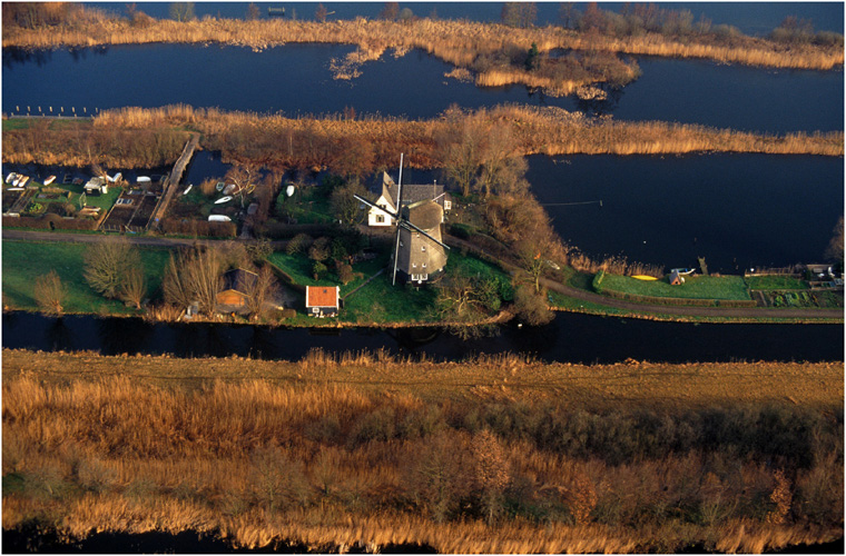 Post-winter colours