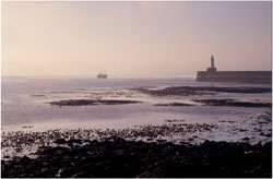 A FISHING COAST